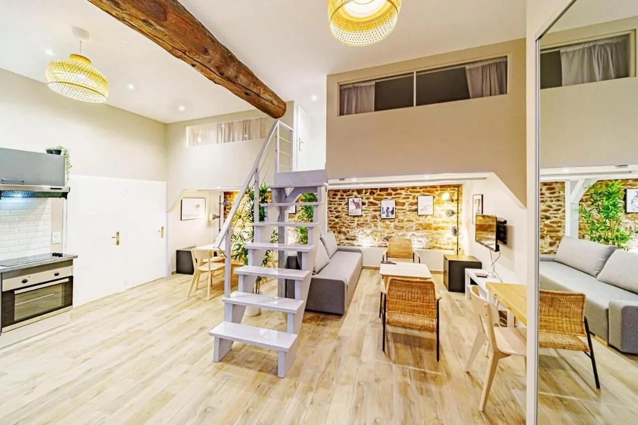 The Montesquieu Loft - Spacious 6 People - Saxe Gambetta Lyon Apartment